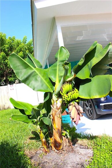 MATURE FRUIT TREES