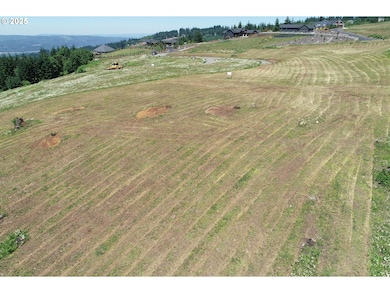 149 Resort Ln unit 1, Kalama, WA 98625 - photo 5