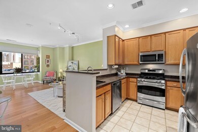 The Park at Courthouse unit PH05, Arlington, VA 22201 - photo 4