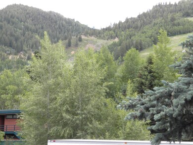 205 E Durant Ave unit 2B, Aspen, CO 81611 - photo 5