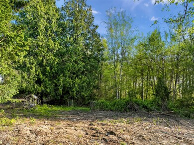 300th 185th St NW, Stanwood, WA 98292 - photo 7