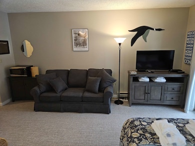 36 Lodge Rd unit D115, Lincoln, NH 03251 - photo 4