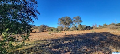 Lot 3A Cattlemans Trail, Silver City, NM 88061 - photo 6