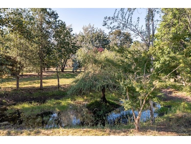 Pond