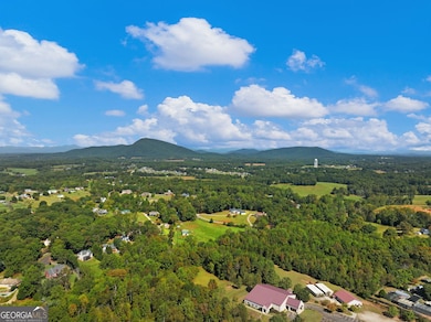 5519 Cleveland Hwy, Clermont, GA 30527 - photo 3