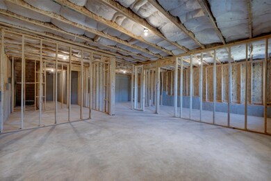 Unfinished Basement
