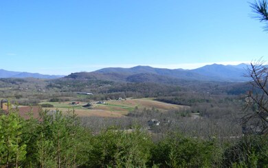 Additional View