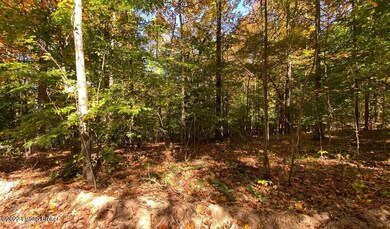 River View Fall175