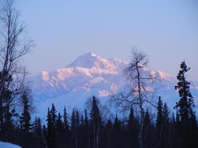Denali from cabin in winter