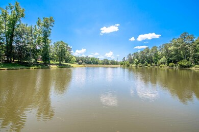 Pond!