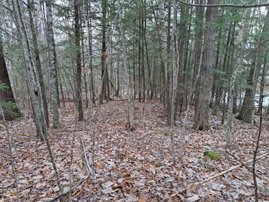 0 Holland Trail unit Lots 8 & 9 of Snowoo, Thornton, NH 03285 - photo 5