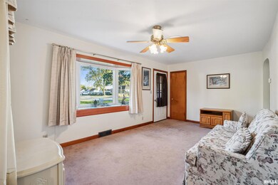 34 Anderson Ave, Milan, IL 61264 - photo 4