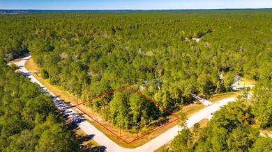 TBD Grey Feather Rd, Huntsville, TX 77340 - photo 3