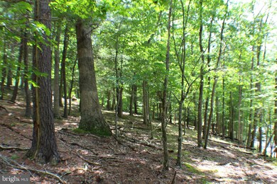 50 acs Skaggs Run & Paul Bean Rd, Baker, WV 26801 - photo 5