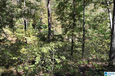 41 Fisher Way unit 41, Vincent, AL 35178 - photo 5