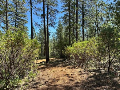 1815-Lot 397 E Summit View Dr, Meadow Vista, CA 95722 - photo 5