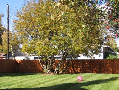 back yard