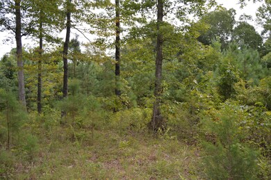 0 Mathis Cemetery Rd unit 2187275, Stewart, TN 37175 - photo 4