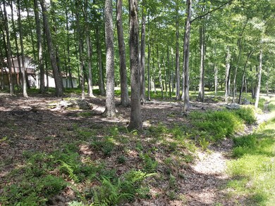 197 Fawn Lake Dr, Lackawaxen Township, PA 18428 - photo 5