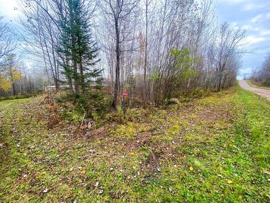 N9466 Ross Rd, Tripoli, WI 54564 - photo 7