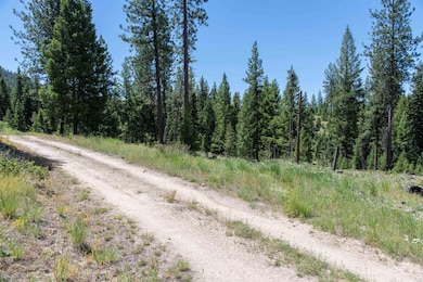 TBD 33 Clear Creek Rd, Cascade, ID 83611 - photo 4