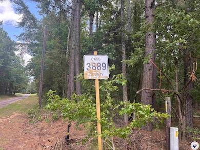 TBD CR 3 Fm 3129 -8 38, Queen City, TX 75572 - photo 5