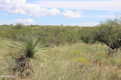 TBD E Naiche Rd unit 56, Saint David, AZ 85630 - photo 5