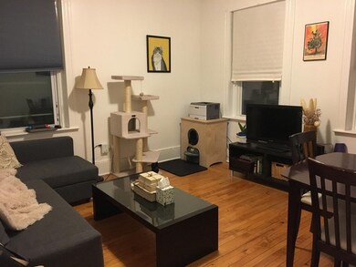 46 W Newton St unit 11, Boston, MA 02118 - photo 7