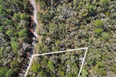 987 E Odin Dr, Citrus Springs, FL 34434 - photo 6