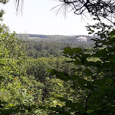 0 Oxen Pull Rd unit 1458442, Fryeburg, ME 04037 - photo 2