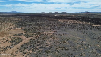 DJI_0071