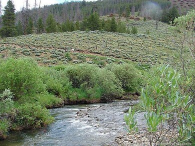 Land/Lot. National Forest in the Backyard