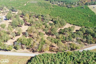 00 Baugh Rd unit 1, Liberty, SC 29657 - photo 4