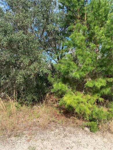 0 Brandywine Trail unit P4913691, Frostproof, FL 33843 - photo 4