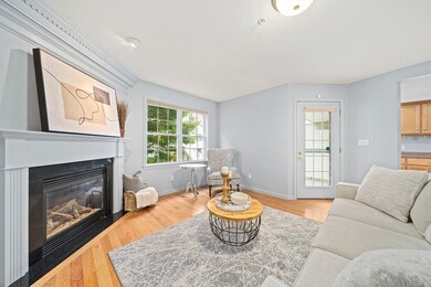 305 Rembrandt Way unit 305, Abington, MA 02351 - photo 6