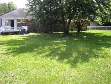 IMGP0585
