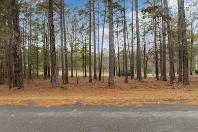 164 Hopeton Ln, Eatonton, GA 31024 - photo 3