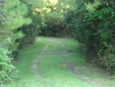 Driveway into 470 Fisher Town Road