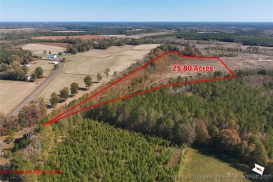 0 Lot 5 Barnesville Church Rd, Orrum, NC 28369 - photo 6