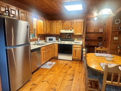 122 N Riverview Ln, Ellijay, GA 30536 - photo 6