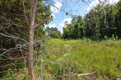 0 Dudley Mountain Rd unit 667914, North Garden, VA 22959 - photo 6