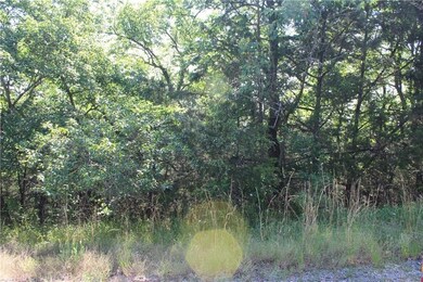 4 Beaver Cir unit 115, Holiday Island, AR 72631 - photo 4