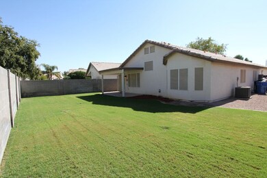 Back Yard 2