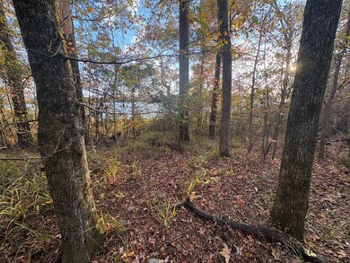 106a Calico Ct, Alberta, AL 36720 - photo 5