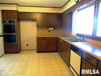 20 Gibbons Rd, Harrisburg, IL 62946 - photo 4