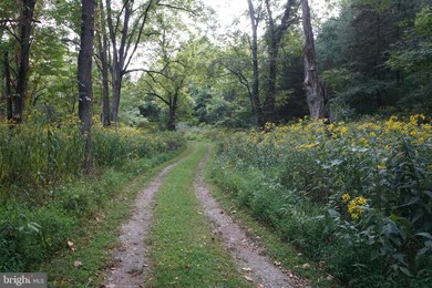 507 Puffenbarger Ln, Brandywine, WV 26802 - photo 4
