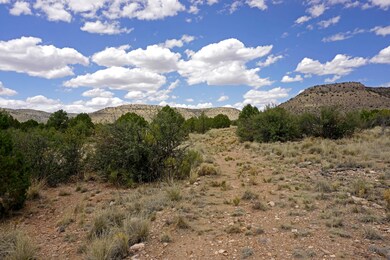Easement on East Line