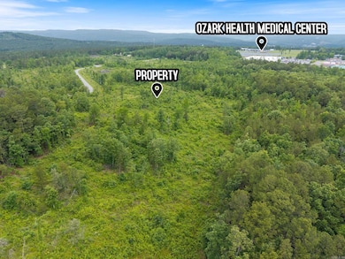 3 acres Highway 336 E, Clinton, AR 72031 - photo 5