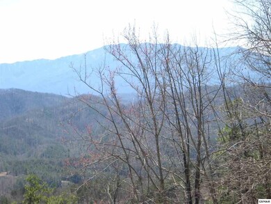 Additional View 4