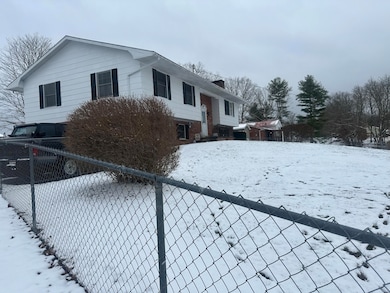 120 Ballpark Rd unit 120, Craigsville, WV 26205 - photo 5